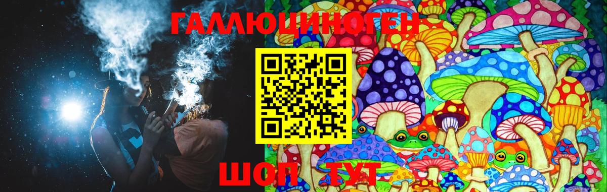 наркота  Галлюциногенные грибы GOLDEN TEACHER  Галлюциногенные грибы прущие грибы  Вход с VPN  Котовск 